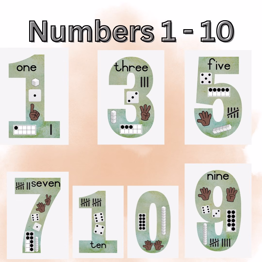 🏫Numbers Posters🏫