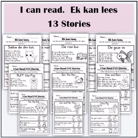 🏫CVC Stories with Comprehension: English and Afrikaans🏫