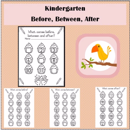 🏫Before, Between and After🏫