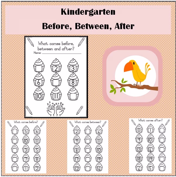 🏫Before, Between and After🏫