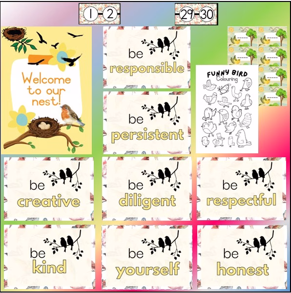 🐦⬛Bird Extra Posters🐦⬛